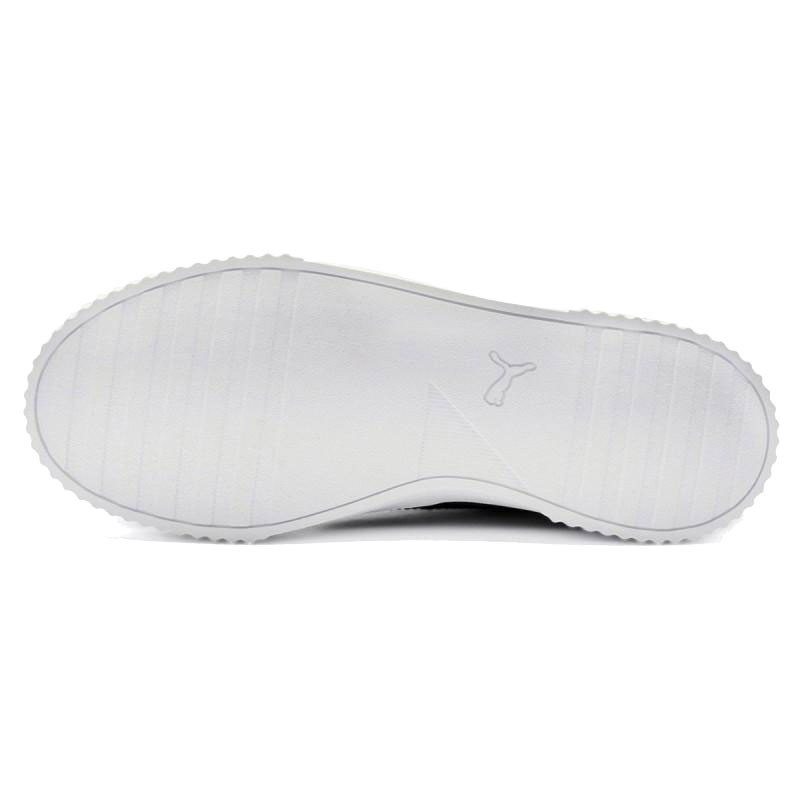 Puma Carina 