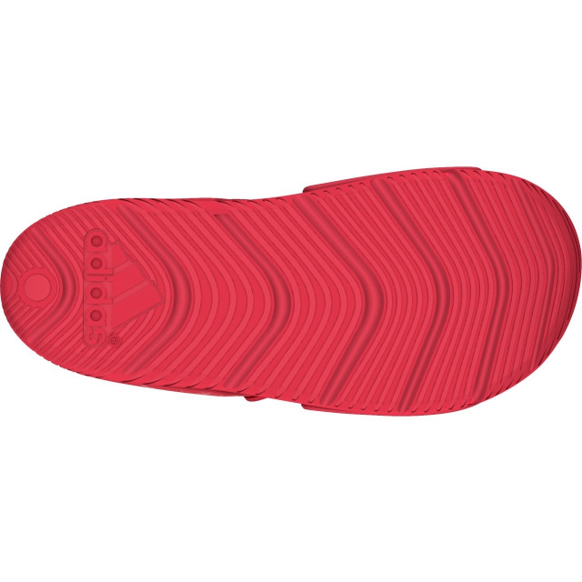 adidas Altaswim 