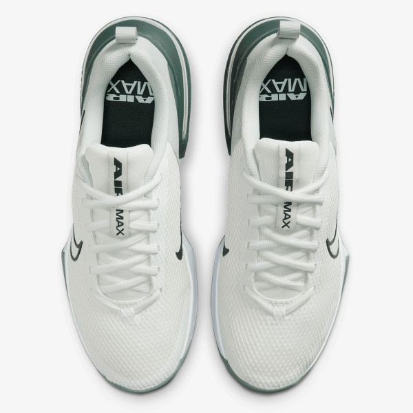 Nike M AIR MAX ALPHA TRAINER 6 