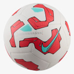 Nike NIKE PITCH - FA24 