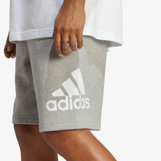 Essentials 