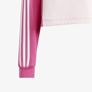 3-Stripes 