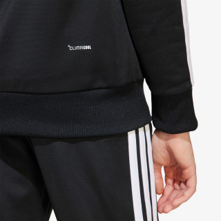 adidas 3 Stripes Tiberio 