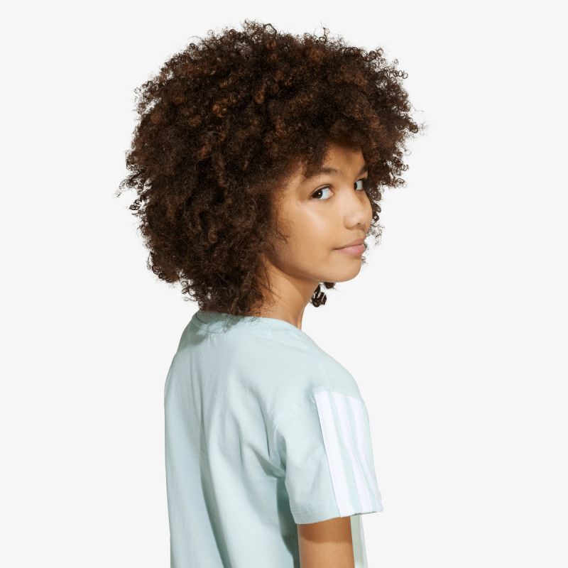 JG 3S TEE 160 