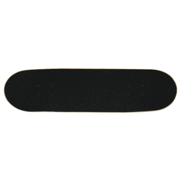 Action Skateboard 